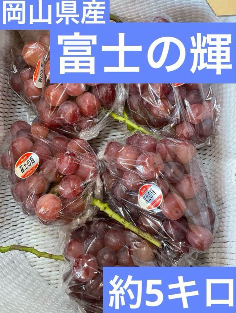 11【岡山県産】富士の輝　約5キロ