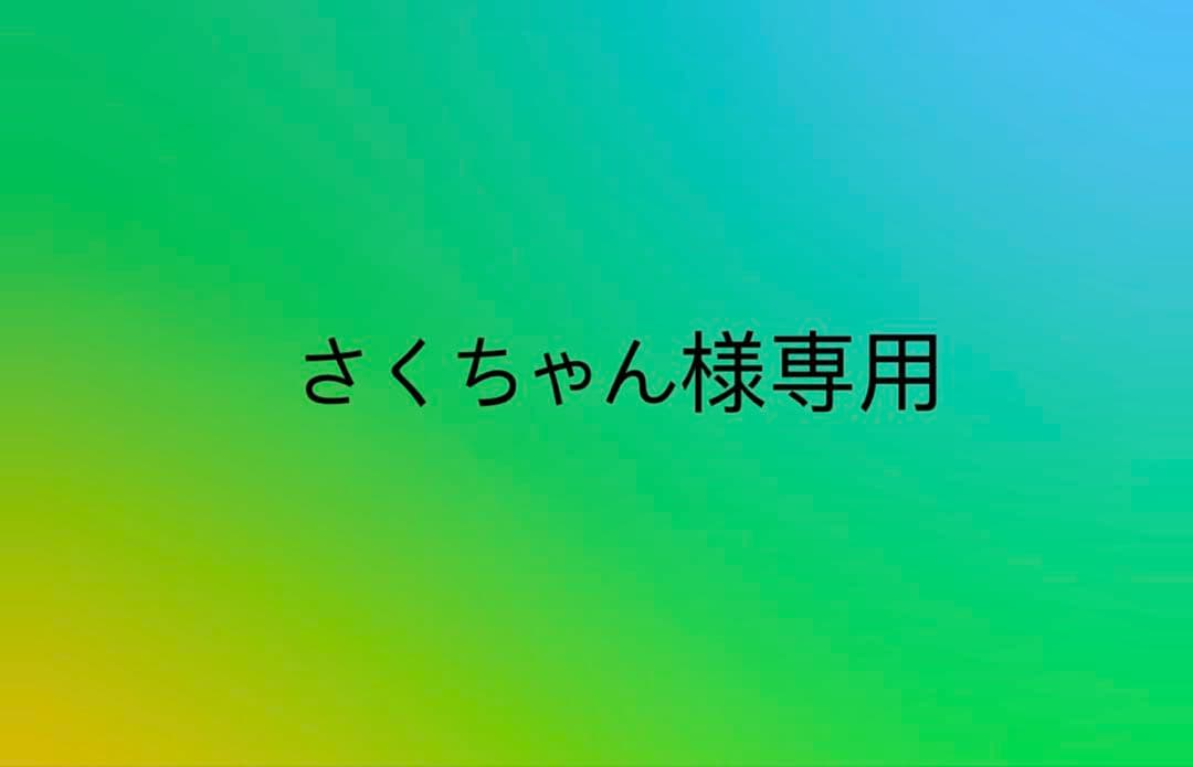 専用ページ