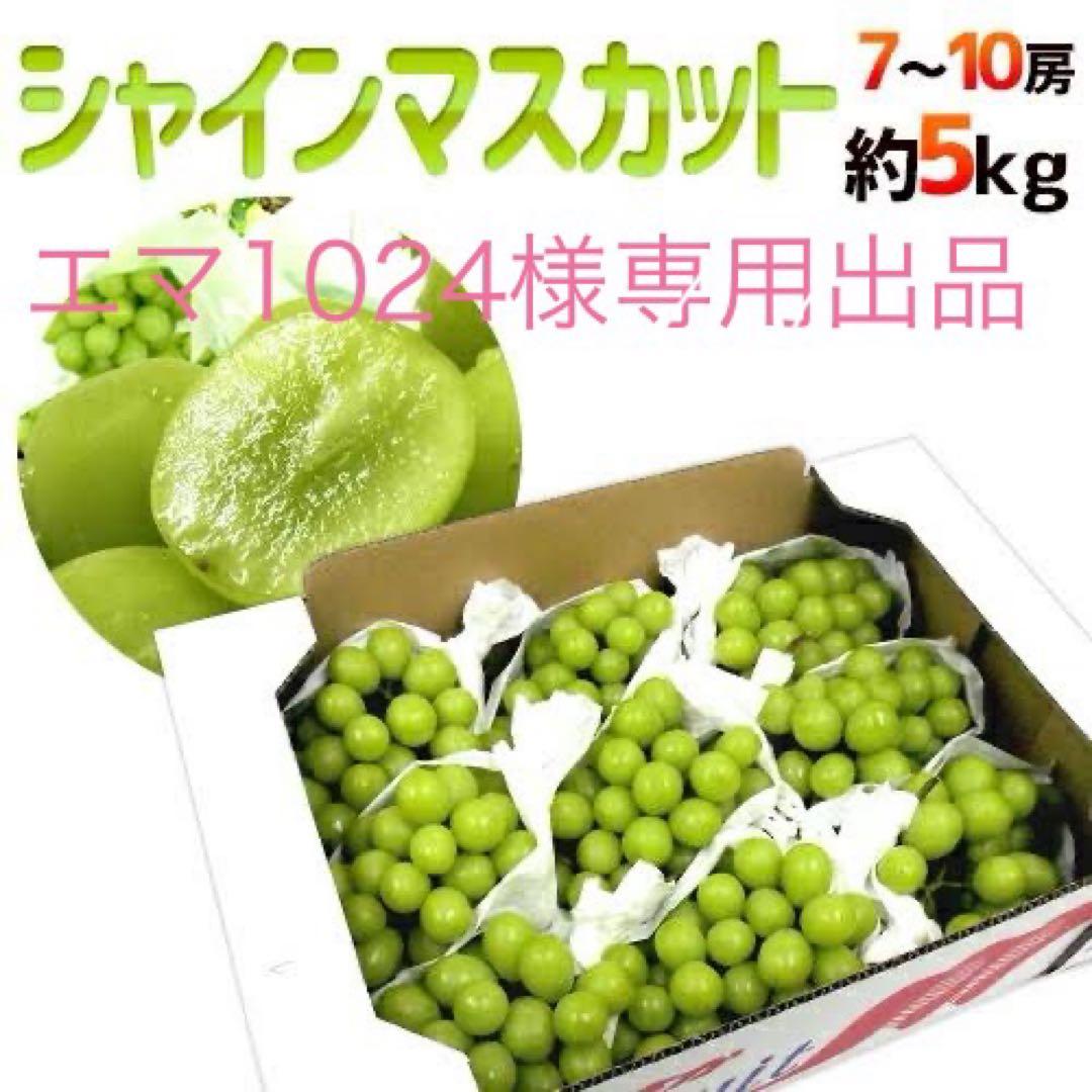 エマ1024出品　高級シャインマスカット大粒5kg