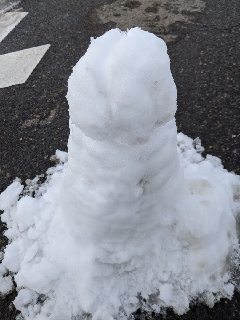 ハゲダルマ