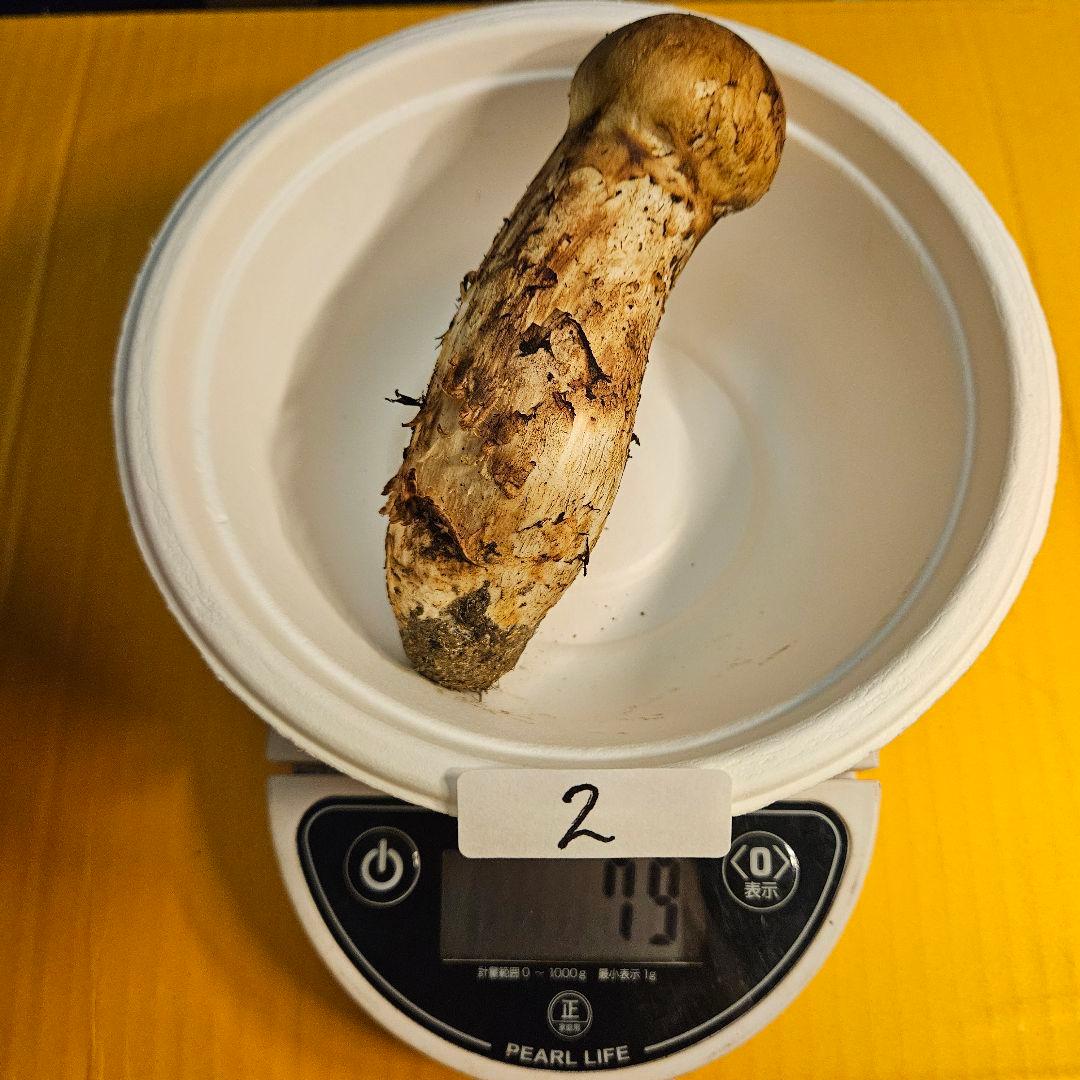 岩手県産松茸 145g