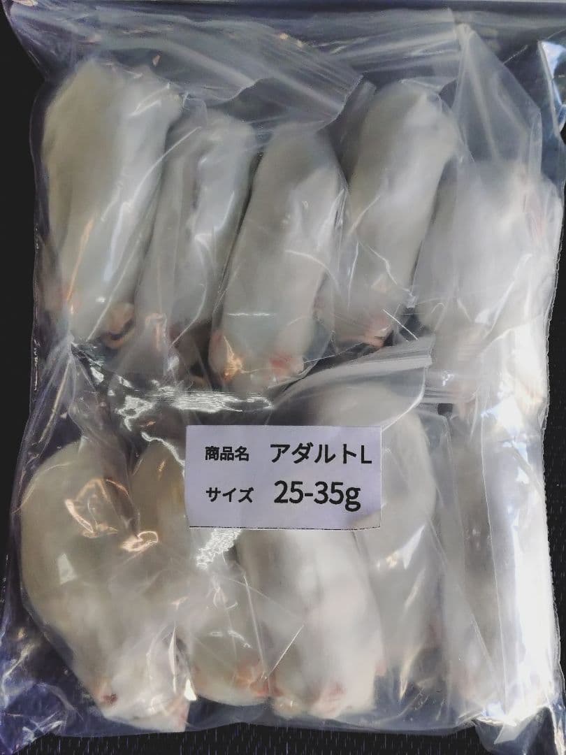 送料無料 冷凍マウスアダルトＬ50匹