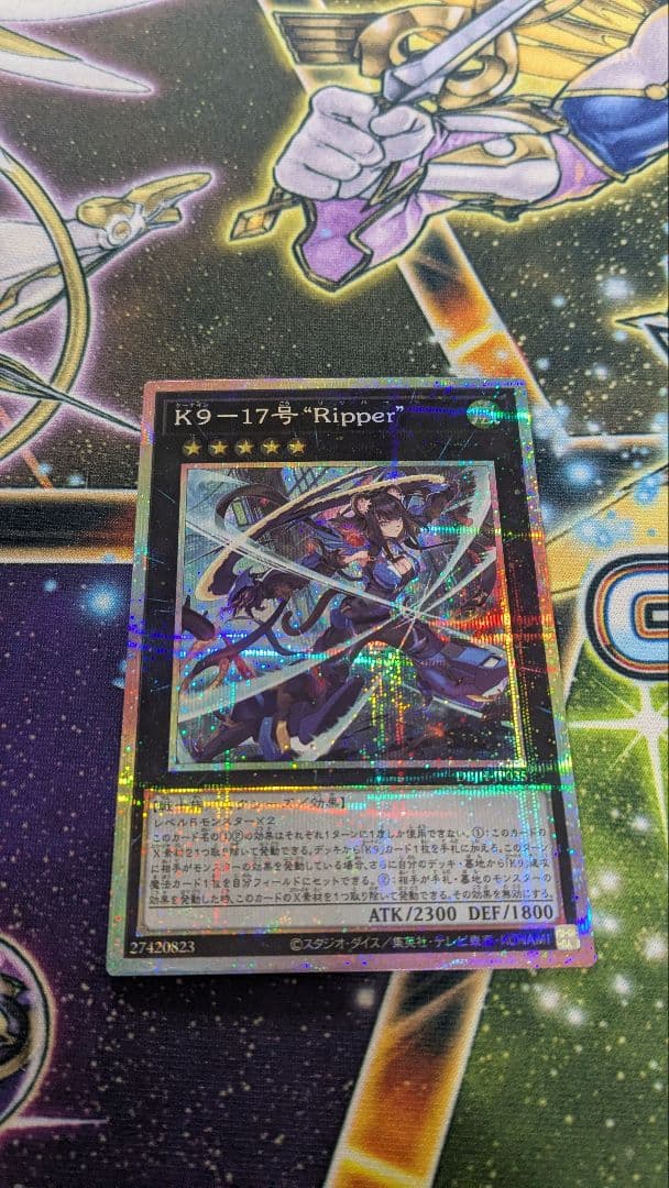 K9-17号 Ripper　プリシク