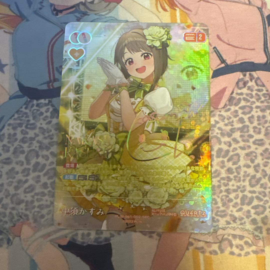 中須かすみSEC