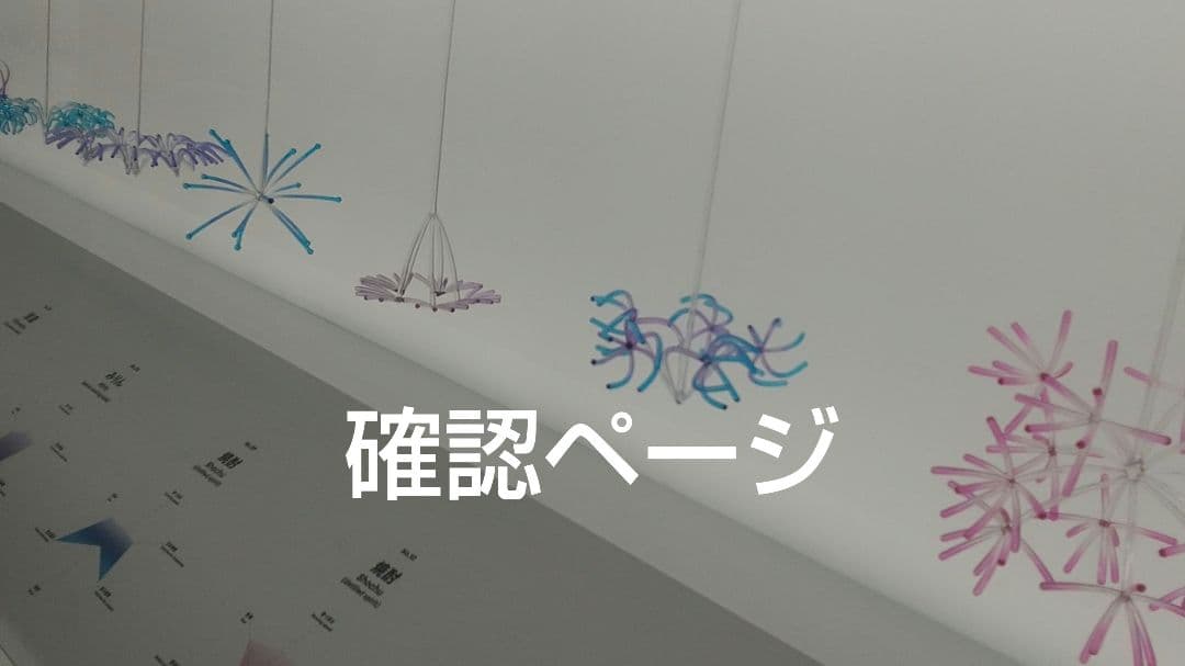 確認ページ