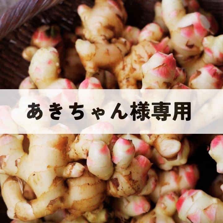 B級新生姜 15kg