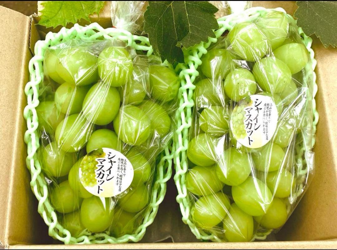 大粒シャインマスカット（房）減農薬4房 29日発送