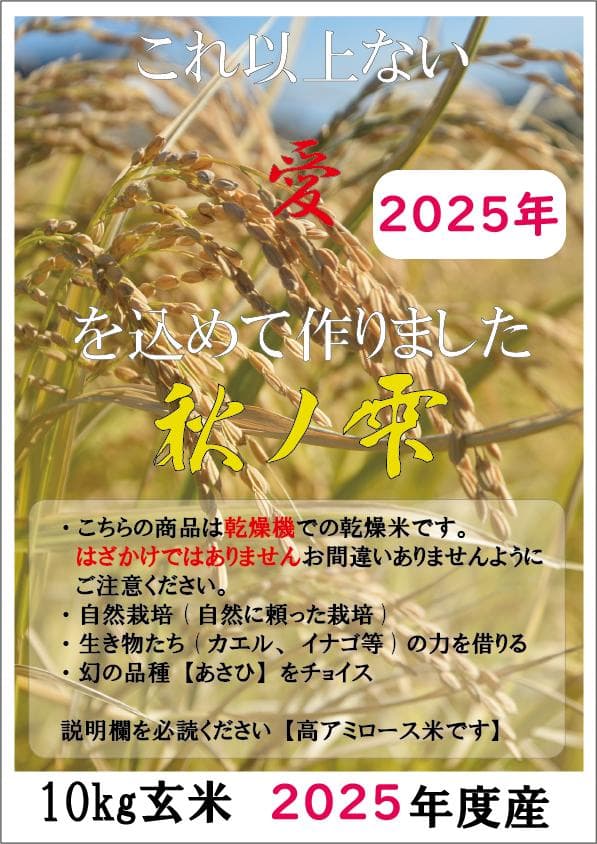 2025年朝日米10kg玄米　たけ爺ブランド米 栽培期間中無化学肥料・無農薬栽培