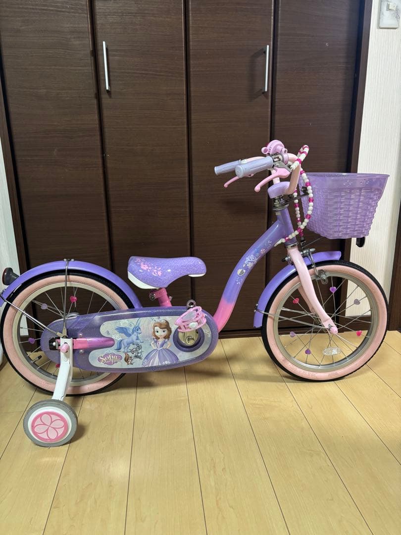 プリンセス・ソフィアデザイン16インチ