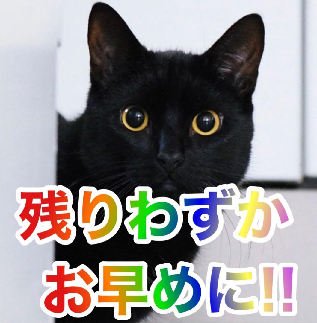 チーズ飴にだ。様Ｌ押忍！番長４　Ａ３　操パネル　簡易ユニットボリューム調整付