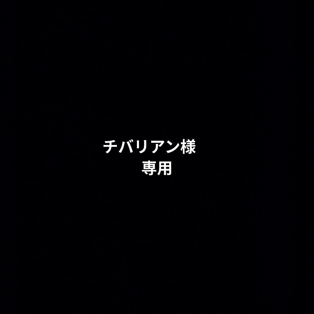 フィギュア16点