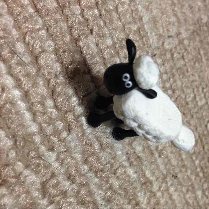 羊
