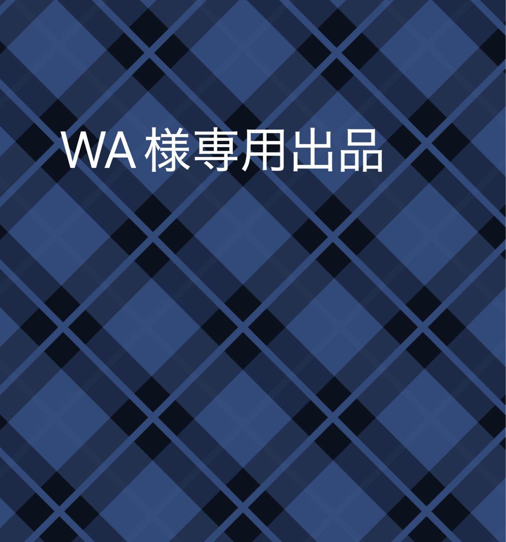専用出品