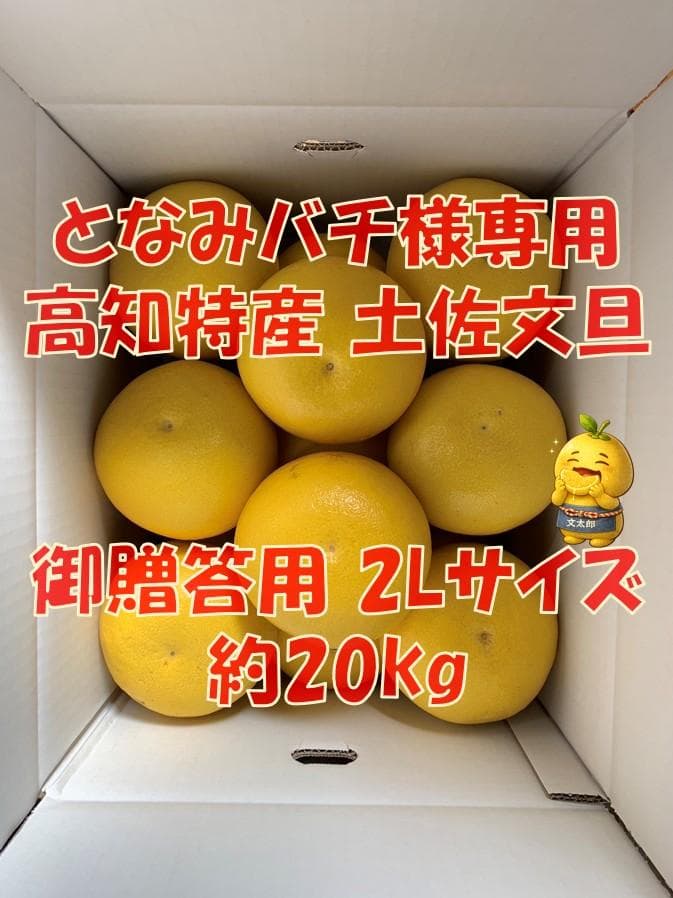 【御予約品】となみバチ　土佐文旦　約20kg　2Lサイズ