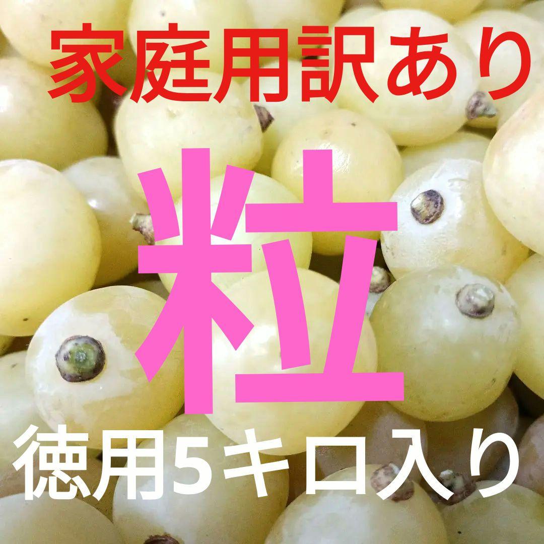 シャインマスカット徳用5キロ入りの粒バック入りになります。