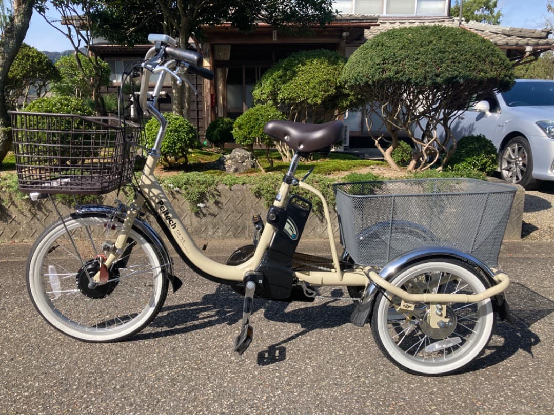 PELTECH ペルテック電動アシスト付き三輪車 TDR-163L