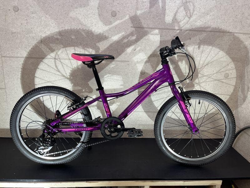 giant LIVパープル 20インチ キッズバイク 6速 Shimano