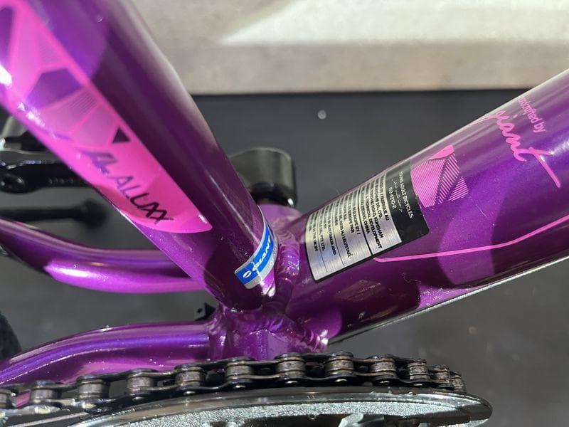 giant LIVパープル 20インチ キッズバイク 6速 Shimano
