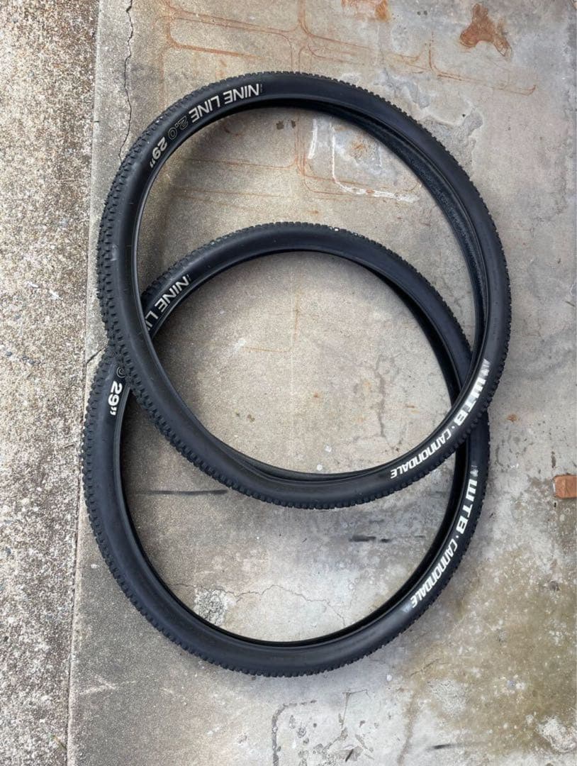 cannondale F29 NINELINE 29erチューブレスタイヤ ペア