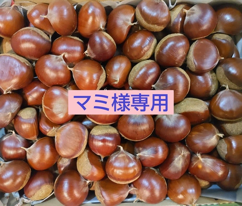 マミ
