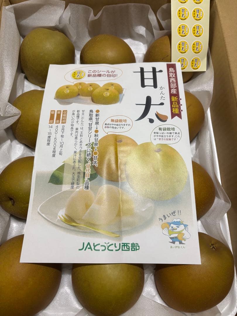 くるみぱん