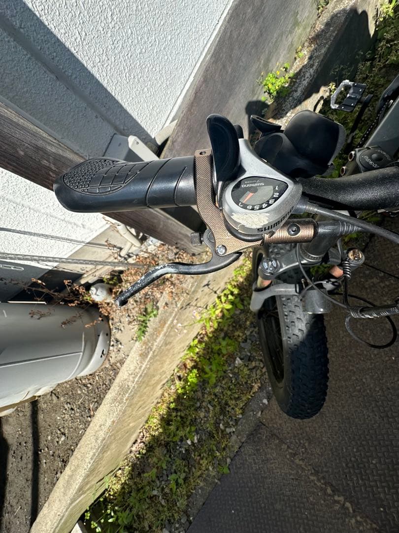 Ebike MOVE X 折りたたみ 電動バイク ファットタイヤ　オプション付き