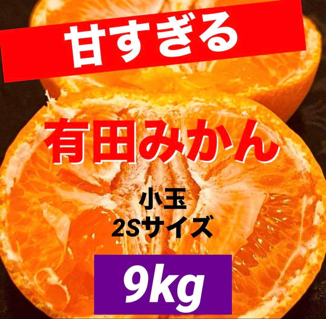 2)数量限定　甘すぎる　有田みかん　果物 　みかん　小玉　旬