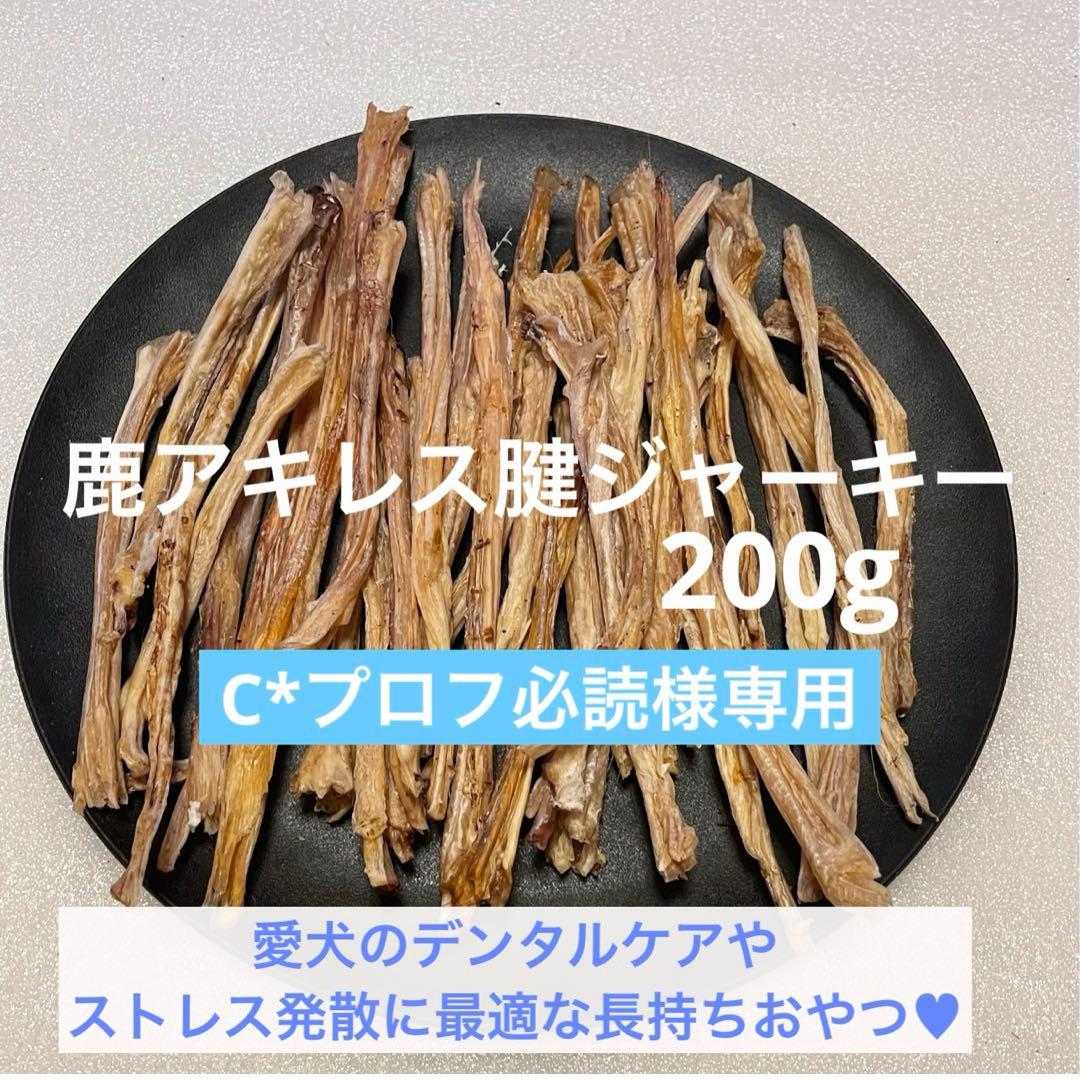 C*プロフ必読