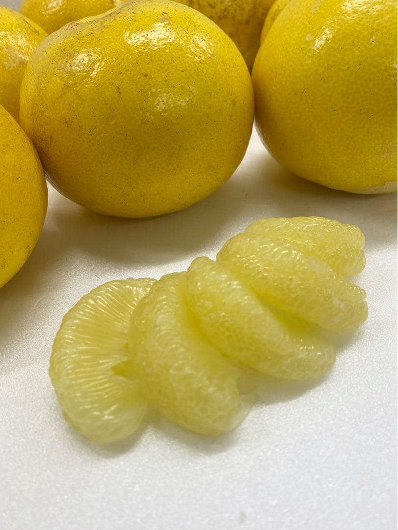 中玉限定☆ご家庭用　高知特産土佐文旦　2L〜Lサイズ19〜25玉入り10㎏2箱