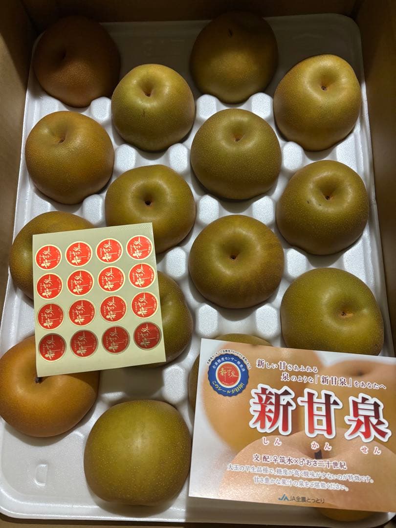 みぽっつ