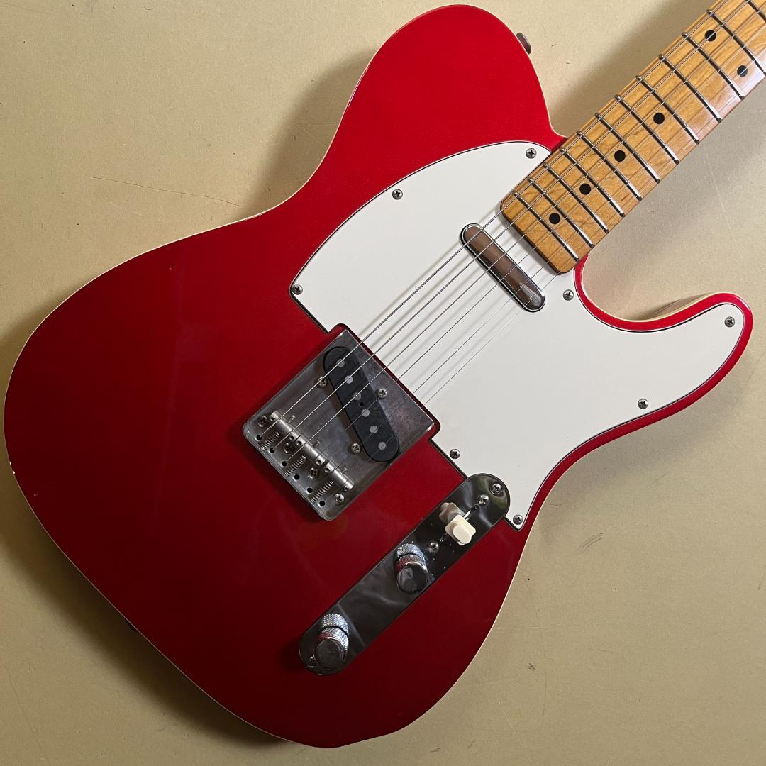 Fernandes TE-1 (Fender Japan TL62B ボディ)