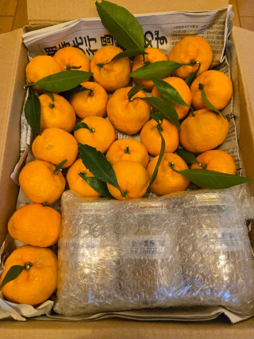 ananas　ご注文の品　予約品　セット