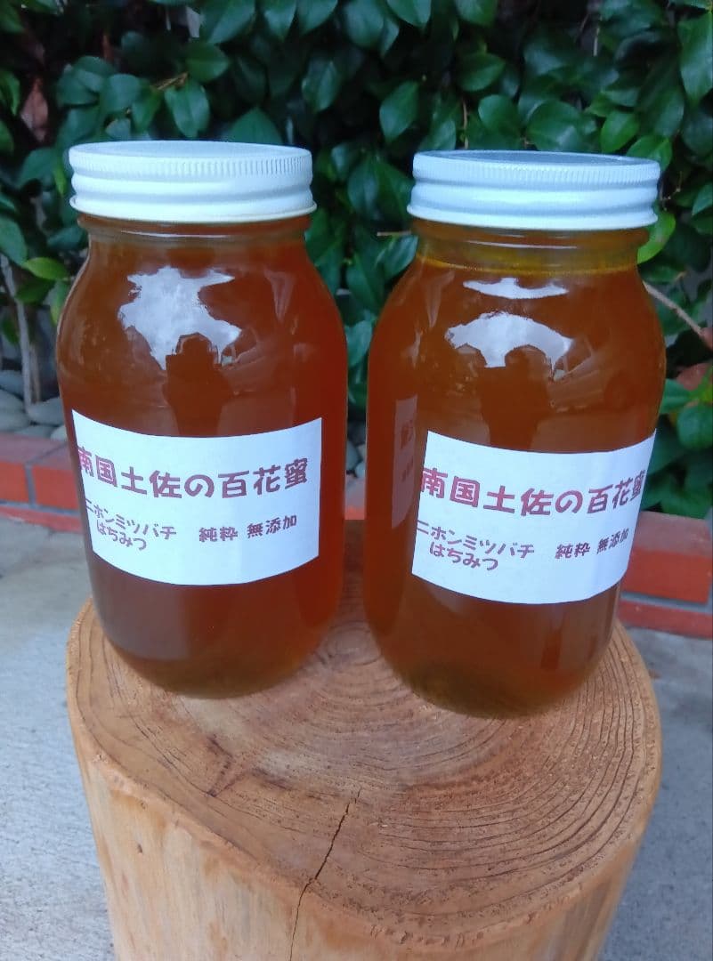 南国土佐の百花蜜　ニホンミツバチ蜂蜜　無添加　無加工　たれ蜜2400g