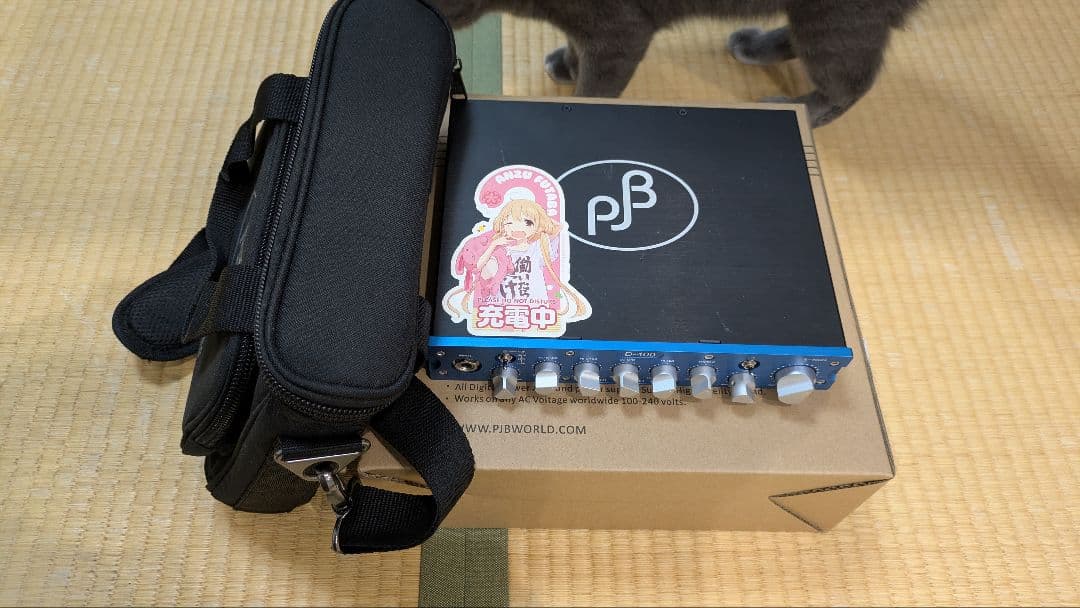 ベース PHIL JONES BASS D-400