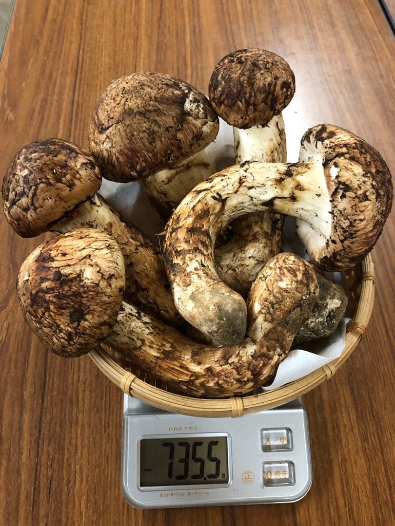 岩手県産　極上天然松茸（735.5g）①