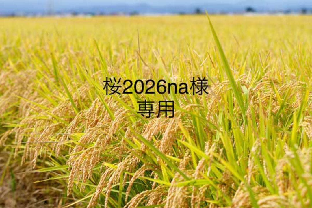 桜2026na