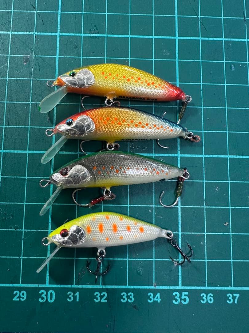 バルサミノー