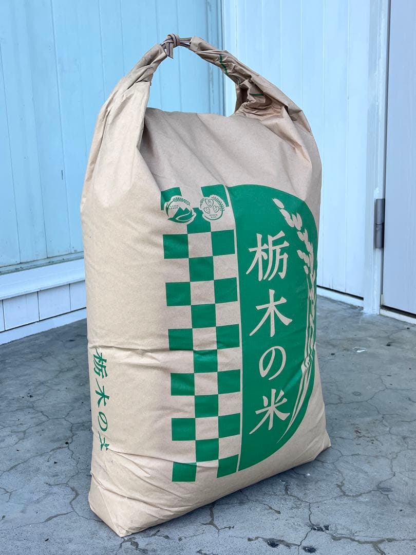 栃木県産こしひかり