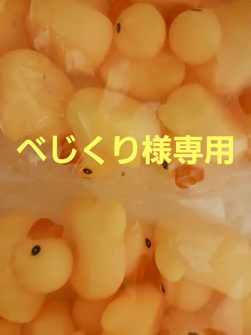 べじくり