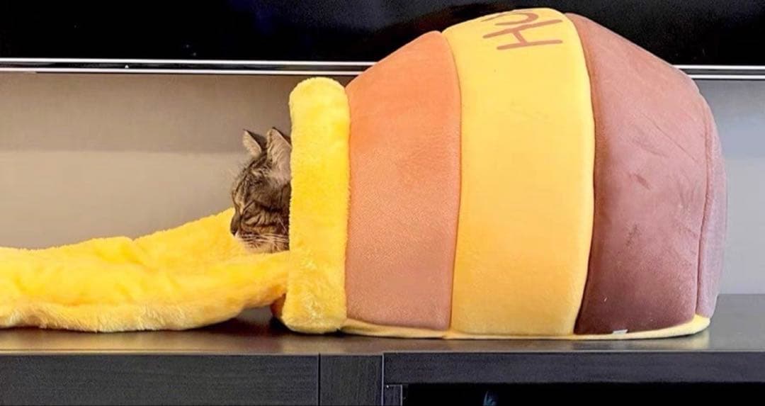 ハチミツポット型猫用ベッド