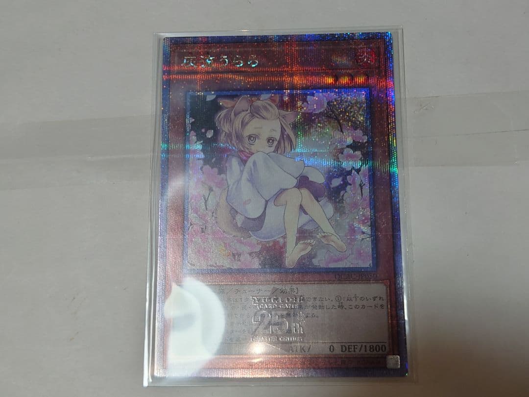 遊戯王　灰流うらら　絵違い　クオシク