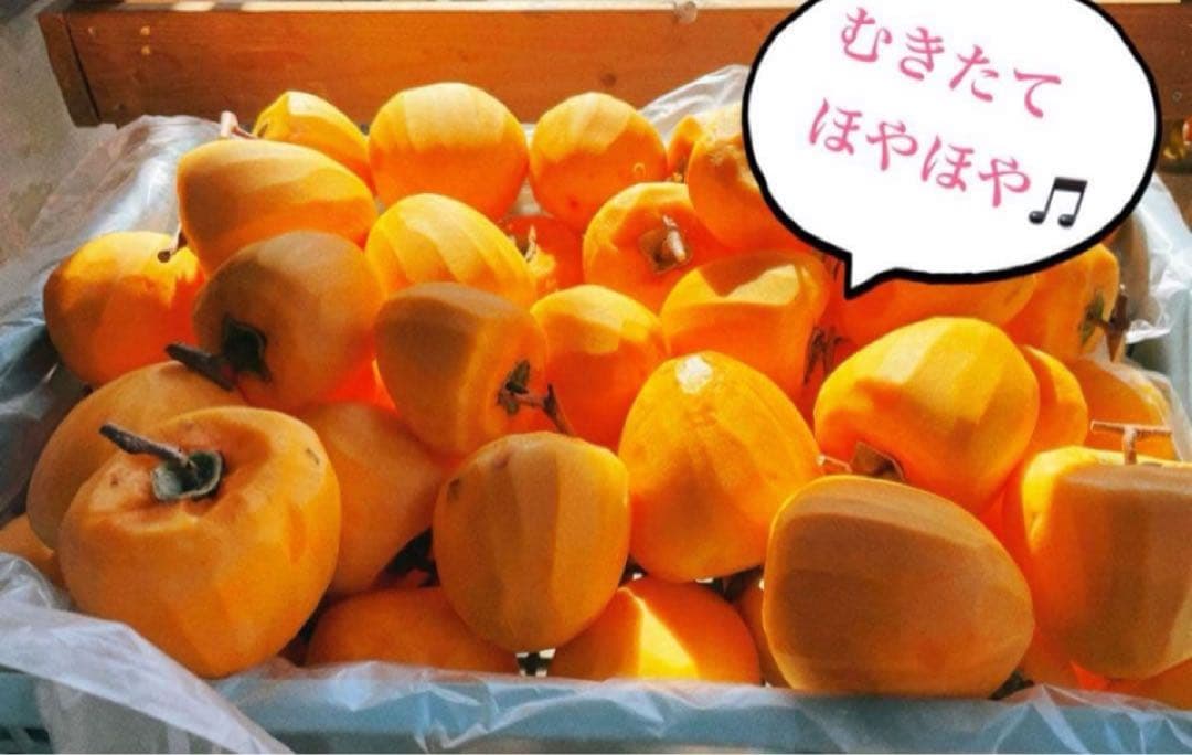 mai様 1号　特大12個と 1号20個入りの2箱セット