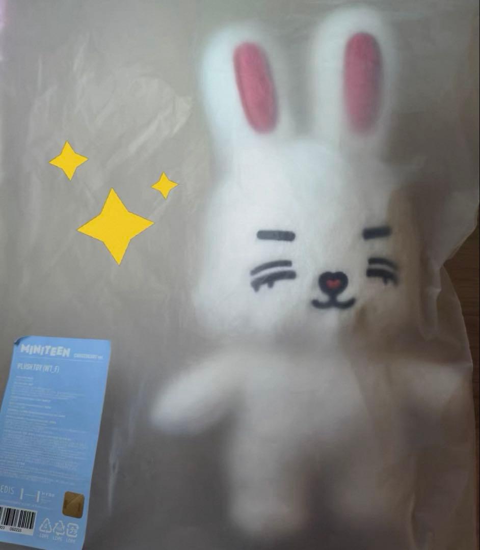 SEVENTEEN choitcherry エスクプス チェチェリー ぬいぐるみ