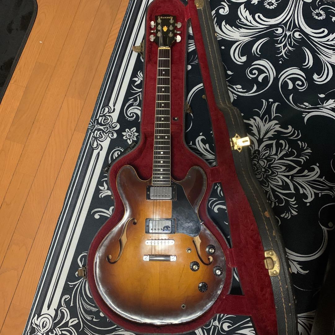 【調整済】EDWARDS E-SA-118LT / TBS
