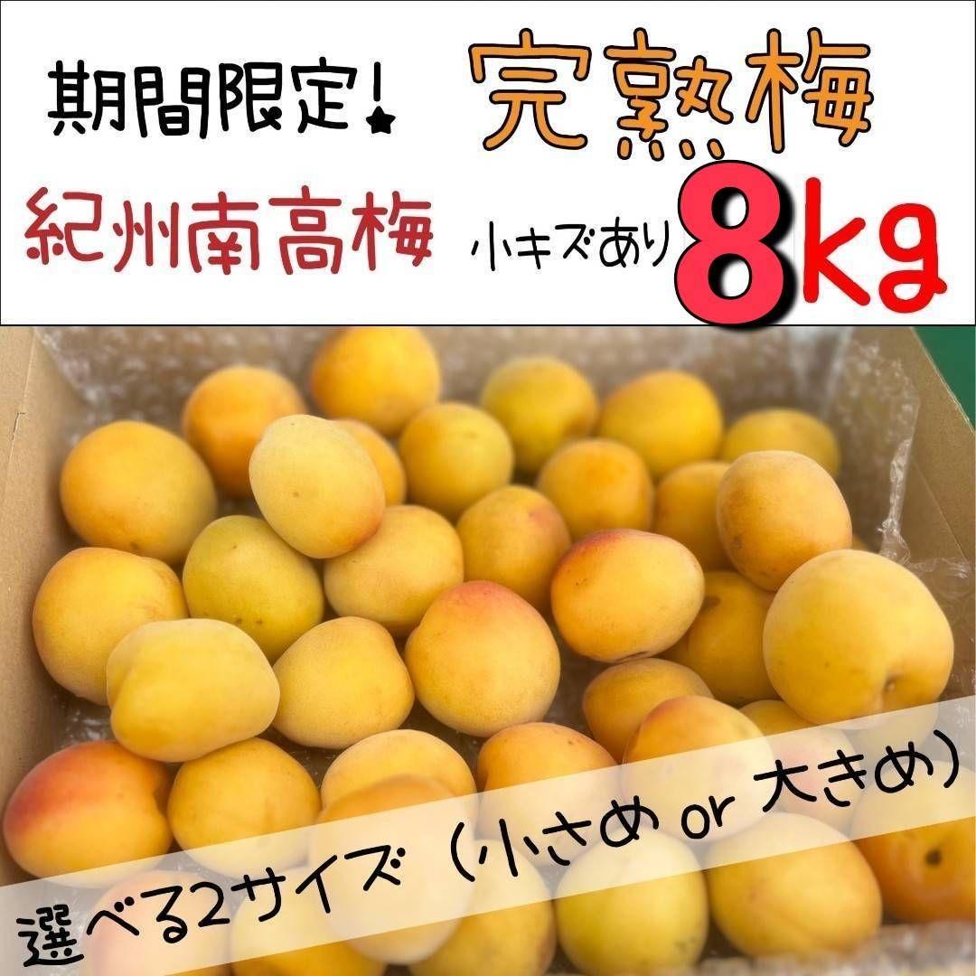 【6月限定8kg】とれたて完熟梅 紀州南高梅