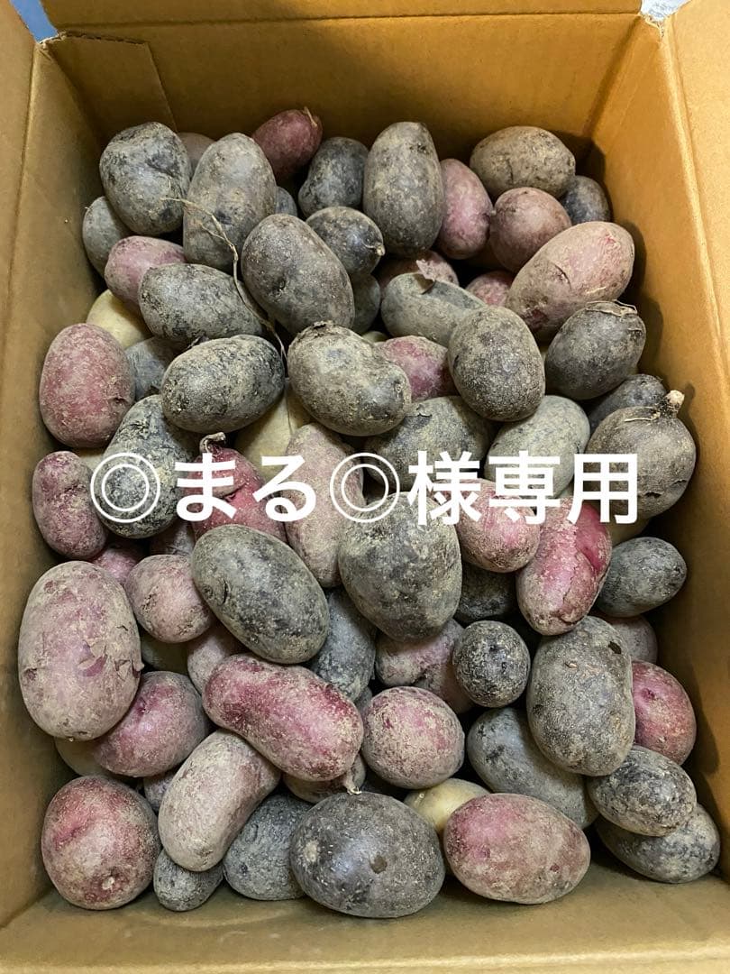 ◎まる◎です