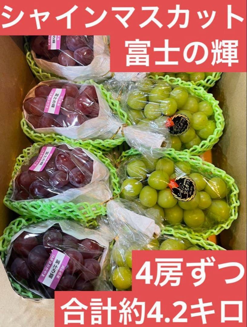 ⑥【島根県産】 シャインマスカット4房 【岡山県産】 富士の輝　4房