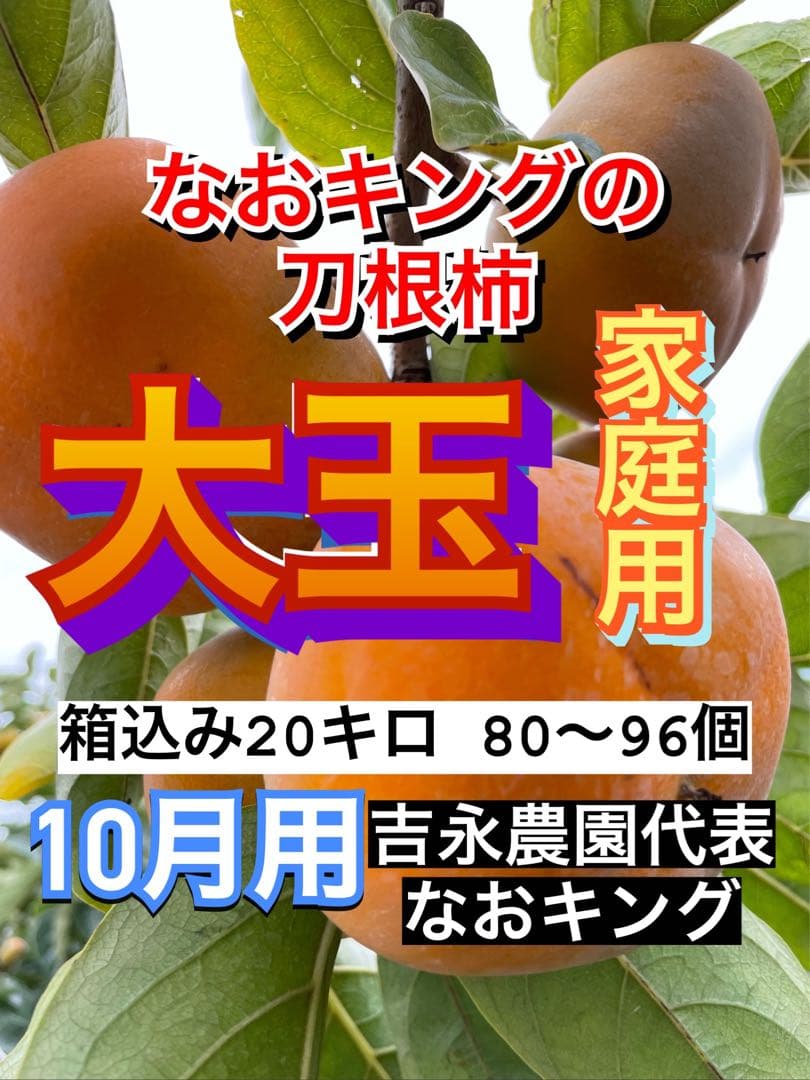 ぷーさん専用 柿 箱込20キロ 刀根柿 家庭用 なおキングの柿