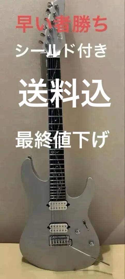 シールドとバッグ付きTOD10