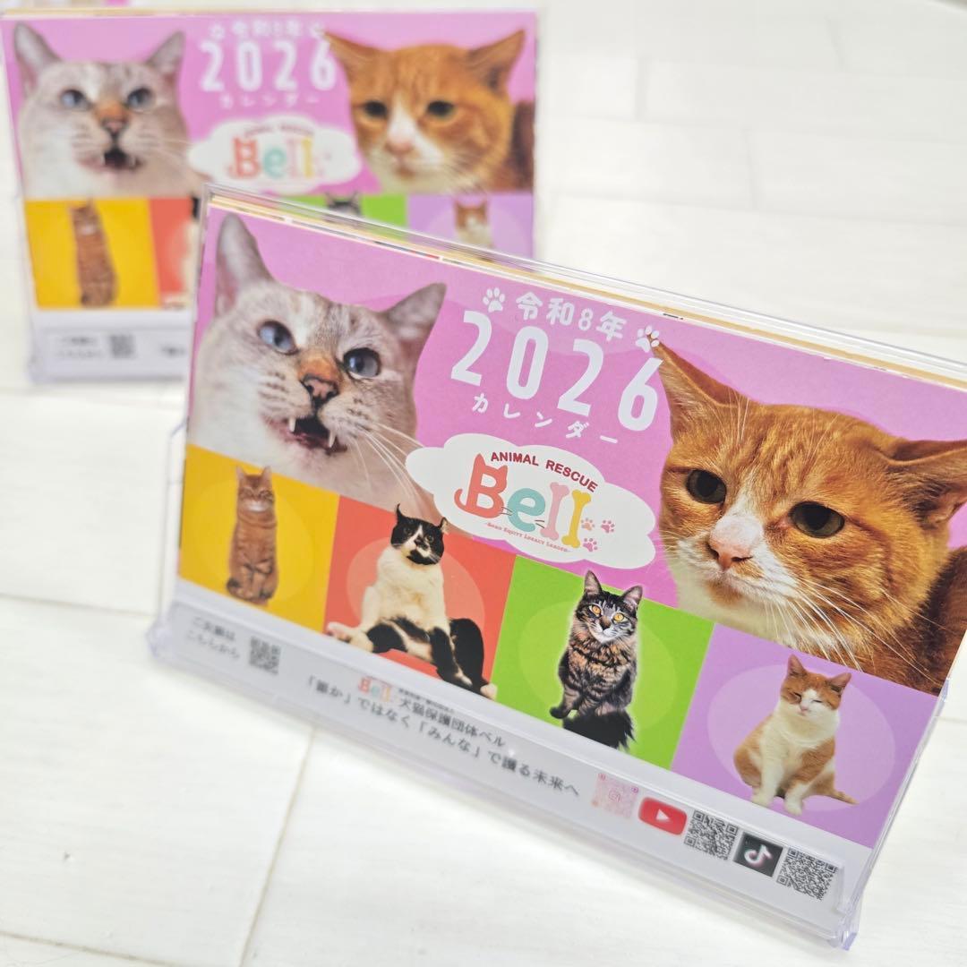 ③《猫》 卓上チャリティーカレンダー5枚セット